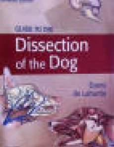 vet book The dissection of the dog