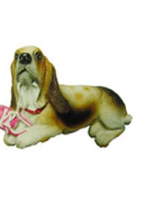 Dog - basset hound